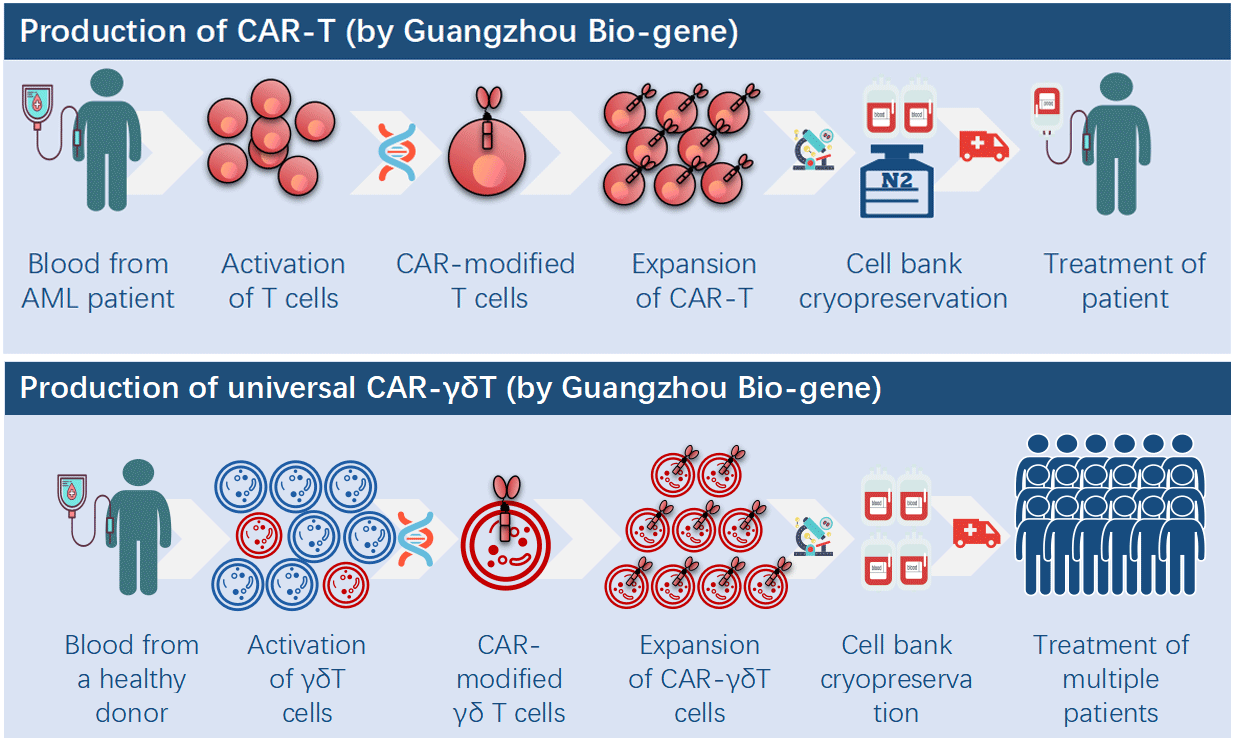 CAR-T制備流程